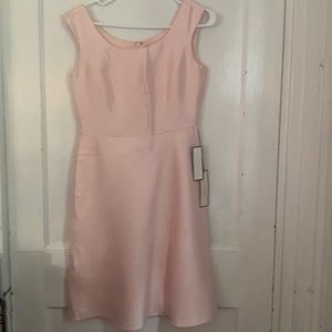 Ann Taylor Pink Dress.  Size 0P.  NWT